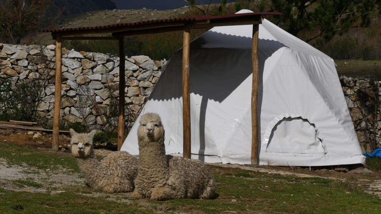Villa Domos Cordillera Blanca à Huaraz  Extérieur photo